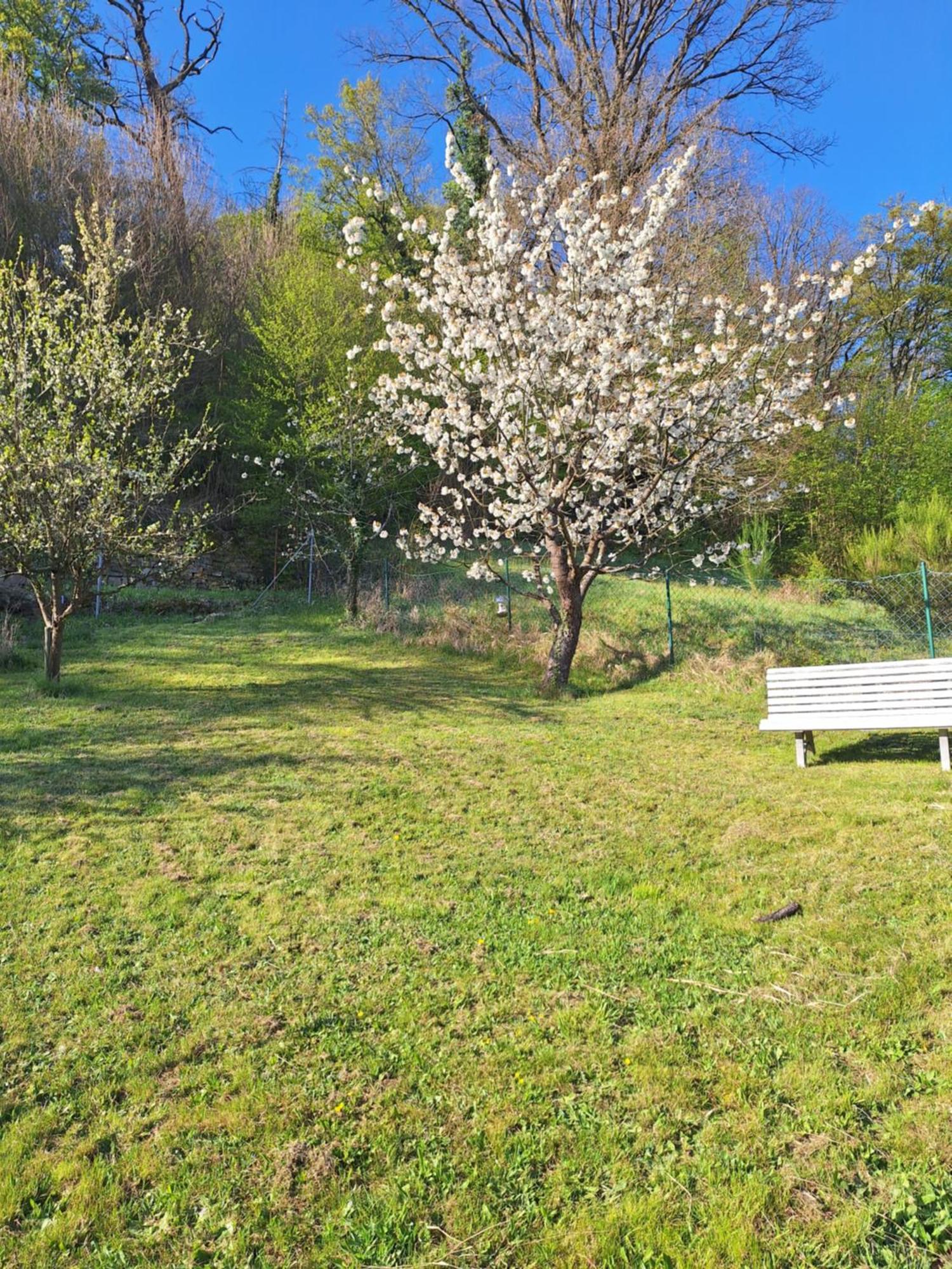 Kleines Domizil Am Suedhang Ortenberg  Luaran gambar